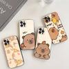 Cartoon Capybara Phone Case For IPhone 17 16 15 14 11 12 13 Mini Pro XS Max Plus Funda Shell