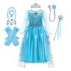 Elsa Dress for Girls Birthday Role Snow Queen Elsa Princess Dresses Kids Halloween Carnival Easter Party Dress Up Girls Costume