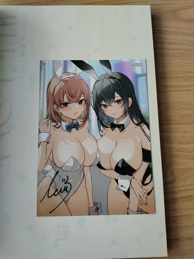 [USED] Ikomochi Art Book MELLOW with Bromide