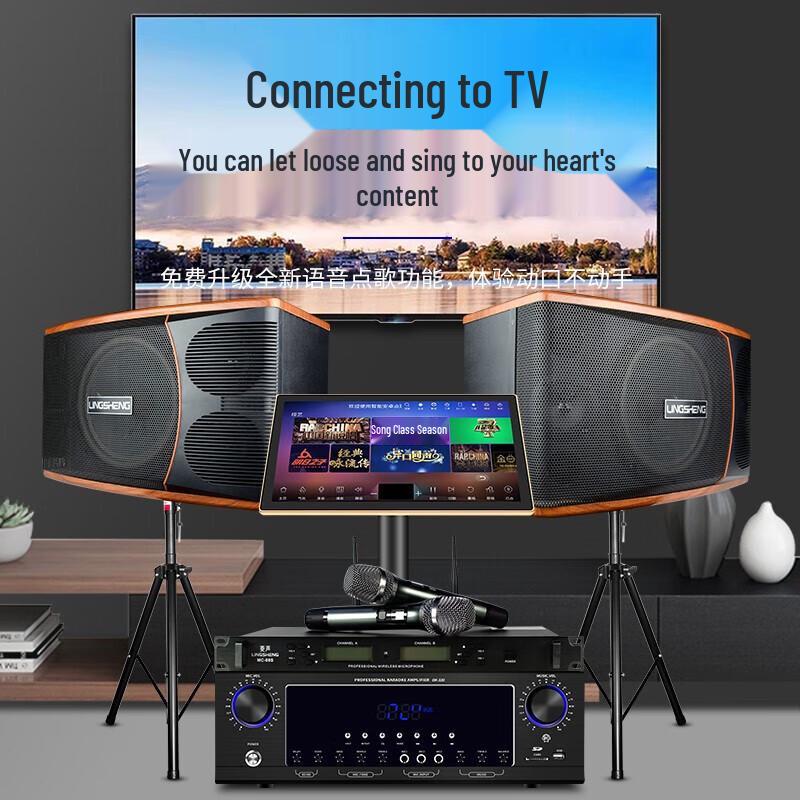 LINGSHENG Home Karaoke System with 19-inch Touchscreen