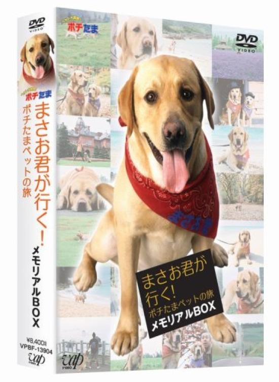 

Masao Pochitama Pet Journey Memorial Box Goes! [DVD]