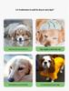 Bichon Frise Dog Raincoat: Full-Coverage, Waterproof, Four-Legged with Tail-Connected Design for Medium and Small Dogs