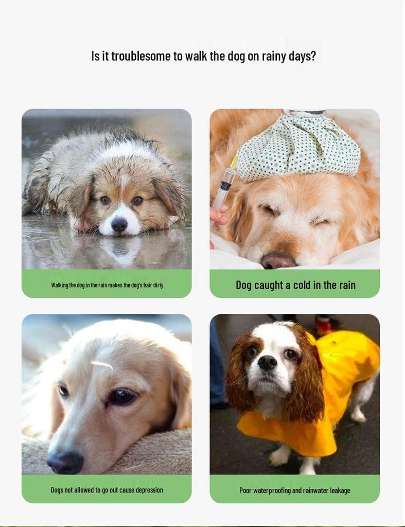Bichon Frise Dog Raincoat: Full-Coverage, Waterproof, Four-Legged with Tail-Connected Design for Medium and Small Dogs