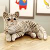 Simulated cat doll rag doll cute kitten doll plush toy children and girls pet cat soothing throw pillow
