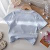 Girls Summer 2 Piece Outfit Short Sleeve Round Neck T Shirt With Lace Tiered Cake Skirt Stylish Kids Clothing Set