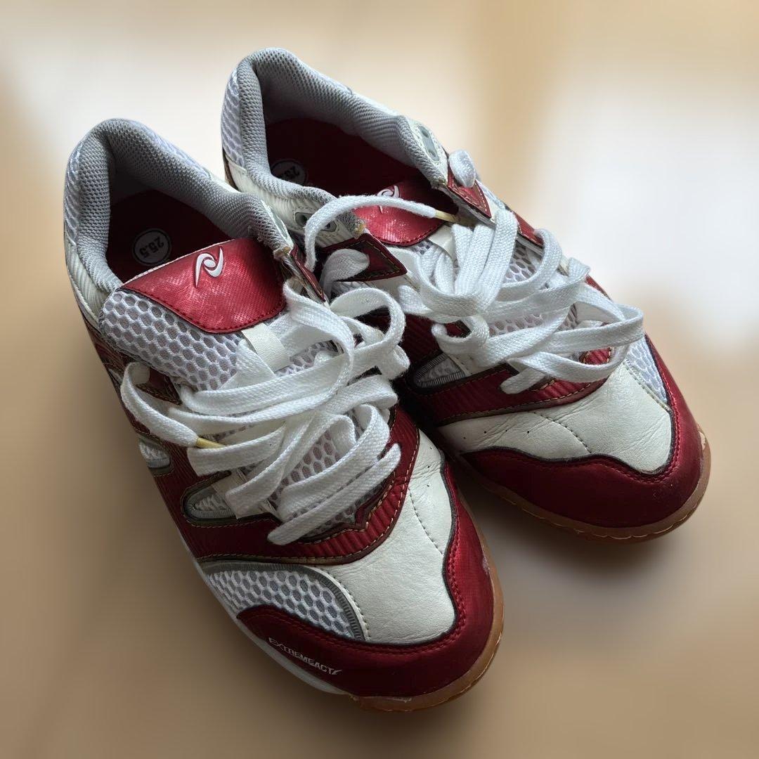 Used NittakuEXTREMEACT shoes 25.5cm, used once, insole not used