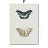 Gustav Klimt Vase Sunflowers Butterfly Vintage AbstractPainting Art Canvas  Posters And Prints Wall Pictures For Bedroom Decor