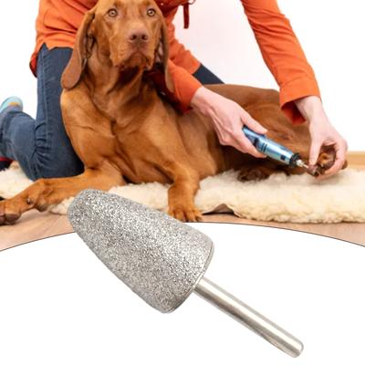 Köpek – Köpek bakım ürünleri
