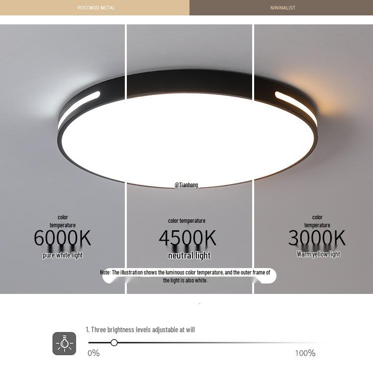 Nordic Modern Ceiling Light for Living Room, Bedroom, or Balcony