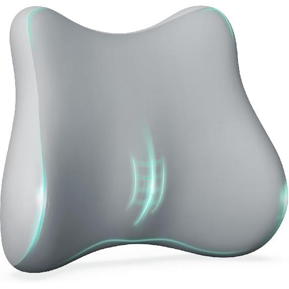 Snailax Lumbar Support Pillow for Office Chair, Back Support Pillow for Back Pain Relief, Memory Foam Back Support Cushion for Home, Office, Car