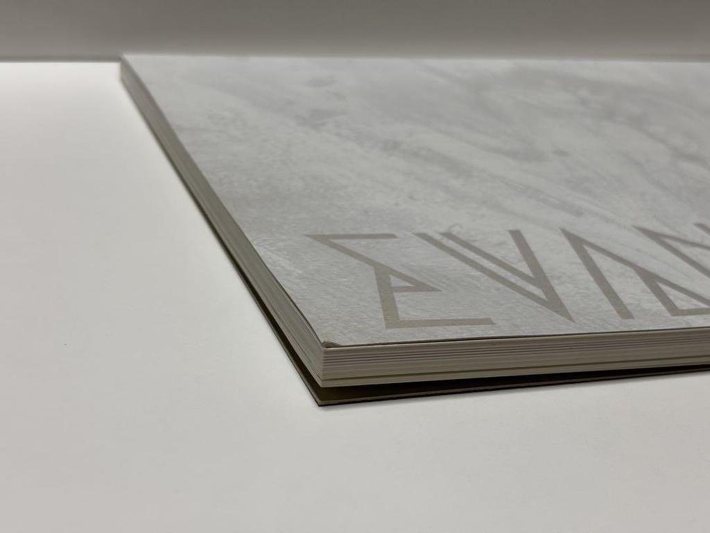 [USED] New Evangelion Movie Original Art Collection