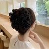 Schwarze Netzblume Haarspange Damen Haifisch Pferdeschwanz Clip Kopfschmuck Temperament Blume Haarklammer Kopfbedeckung