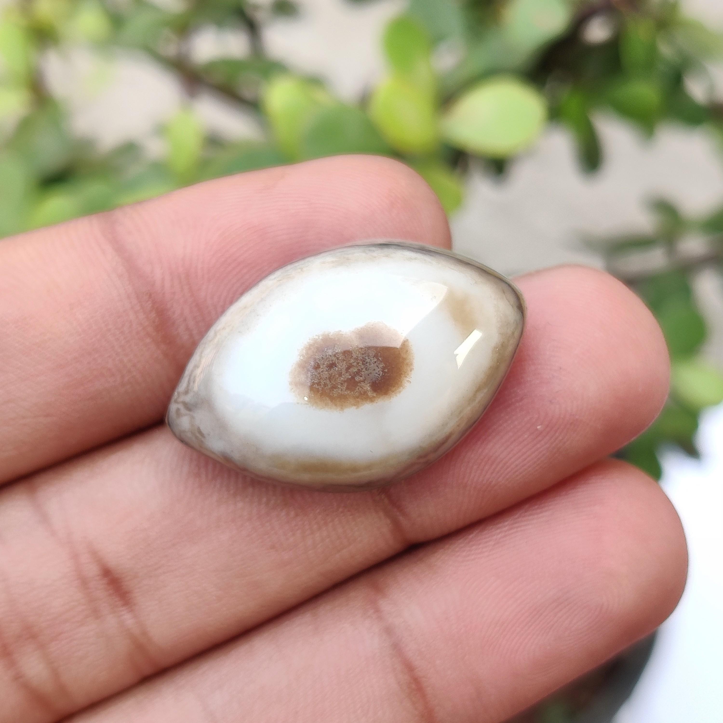 White Banded Agate Eye Gemstone, 47.55 Carat, 30x20x12 MM Size. 47.55 Carat, 30x20x12 MM