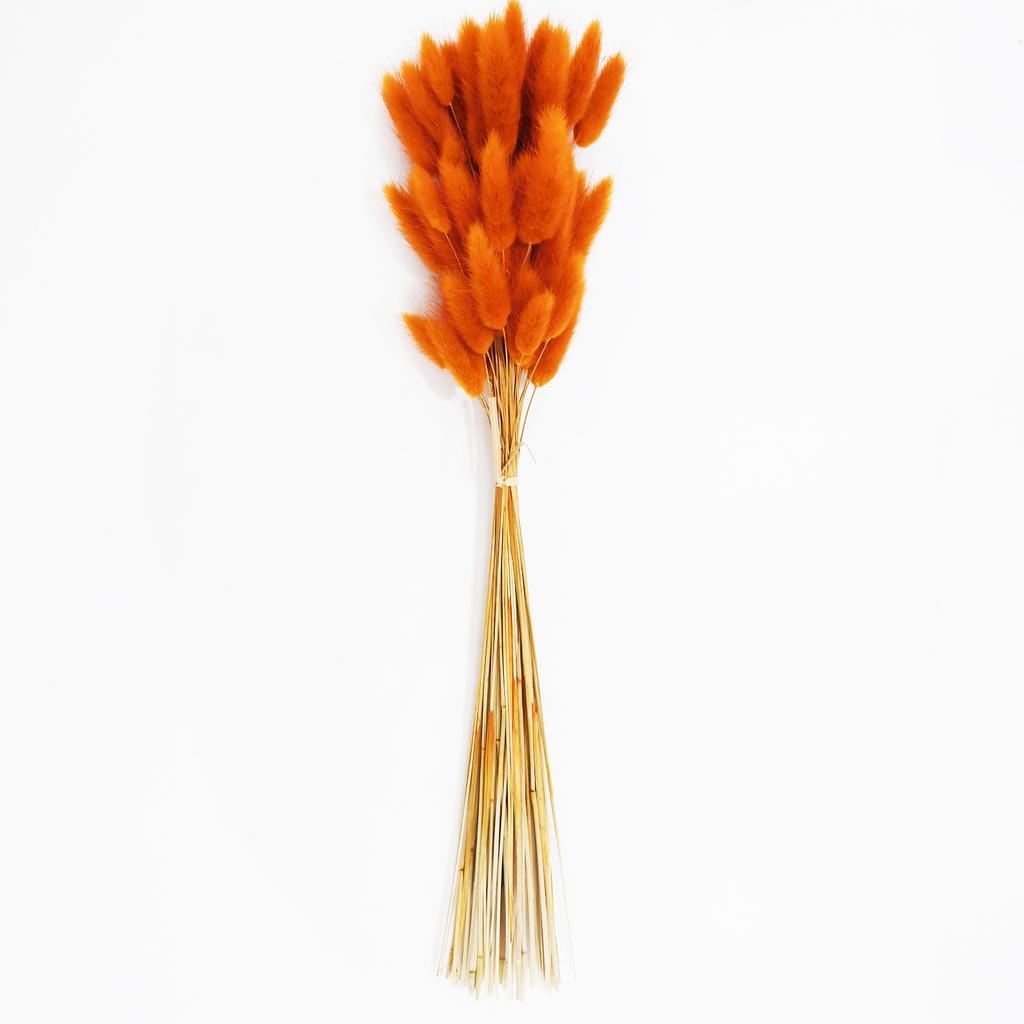 Small Reed Dried Flower Bouquet Small Whisk Small Pu Reed Reed Dried Flower Rabbittail