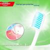 Colgate Soft Bristle Gum Care Toothbrush