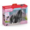 Verzamelen en modelbouw – Actiefiguren