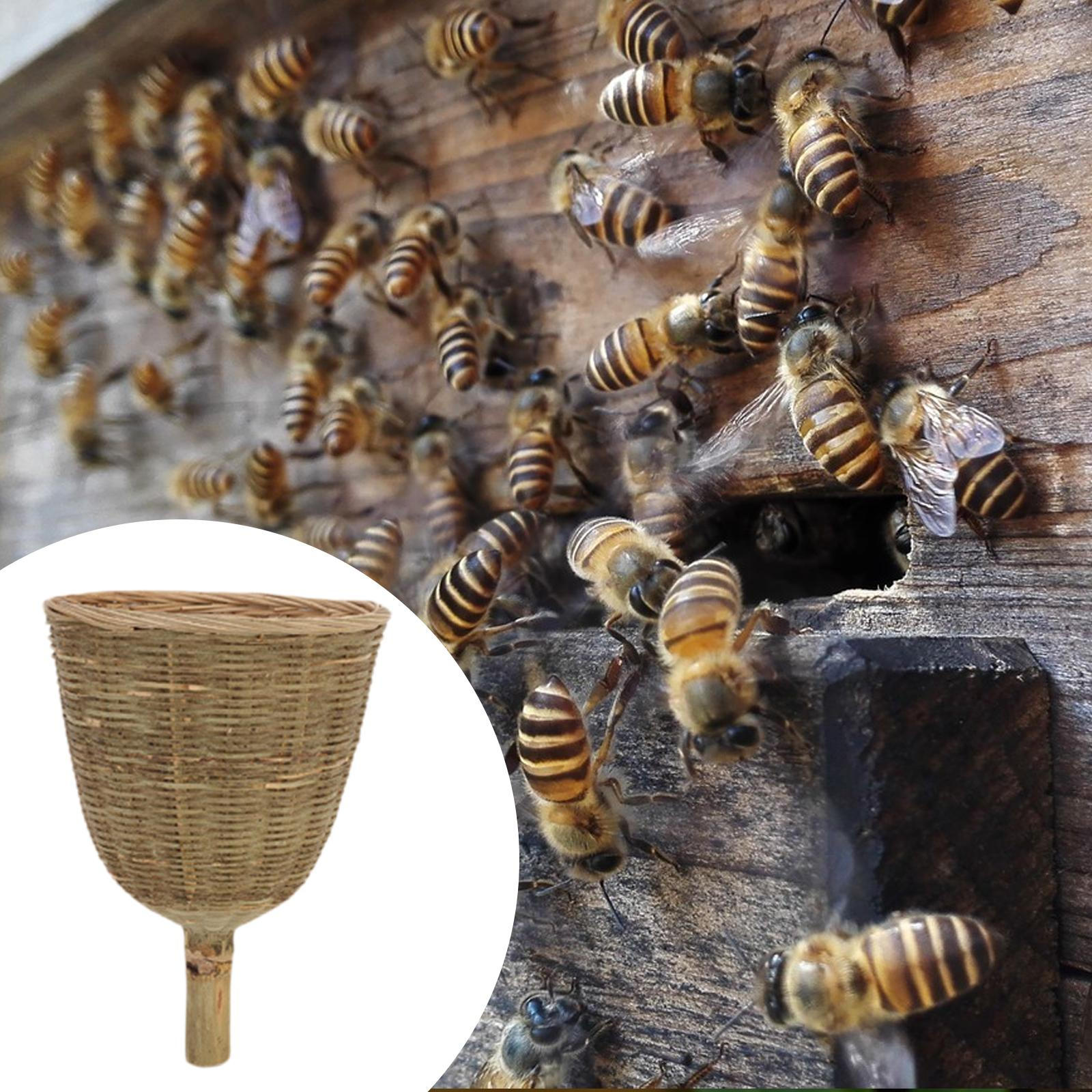 

Bamboo Woven Bee Cage Efficient Beekeeping Easy to Use Catching Basket