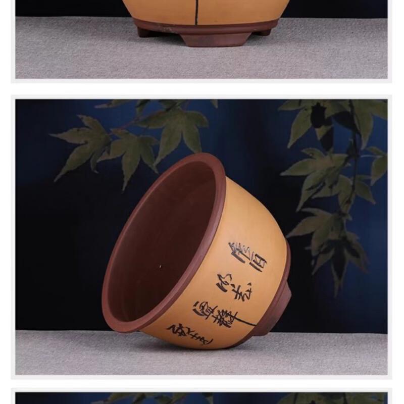 Zisha Purple Clay Orchid & Garden Flower Pot