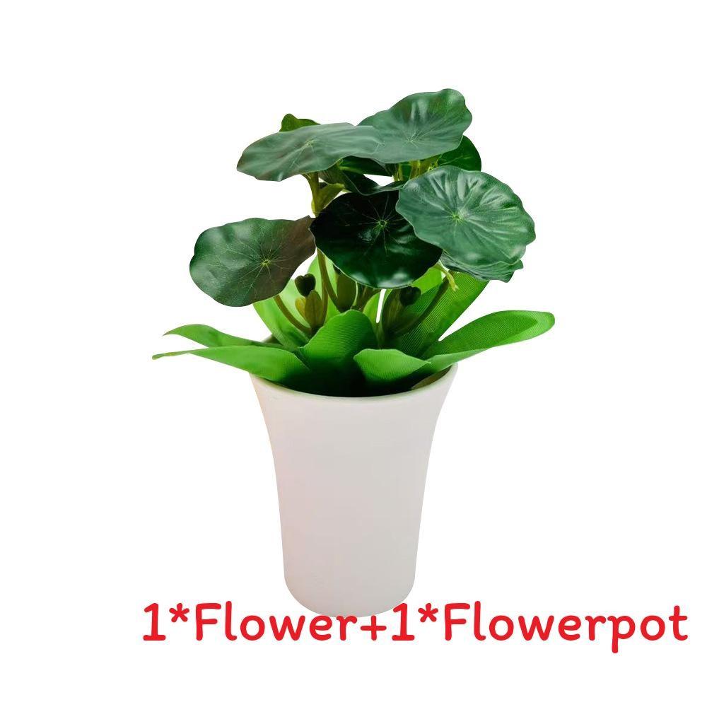 

Pudica Schefflera Mimosa Octophylla Green Plant For Home Tabletop Decor Green Small Lotus Leaf