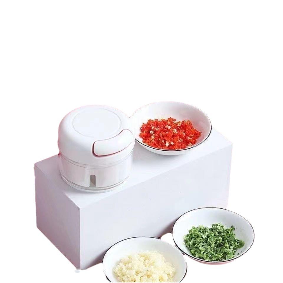 Compact Manual Kitchen Garlic Press & Food Mincer