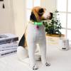 Pet Glowing Collars with Bells Glow at Night Dogs Cats Adjustable Necklace Safe