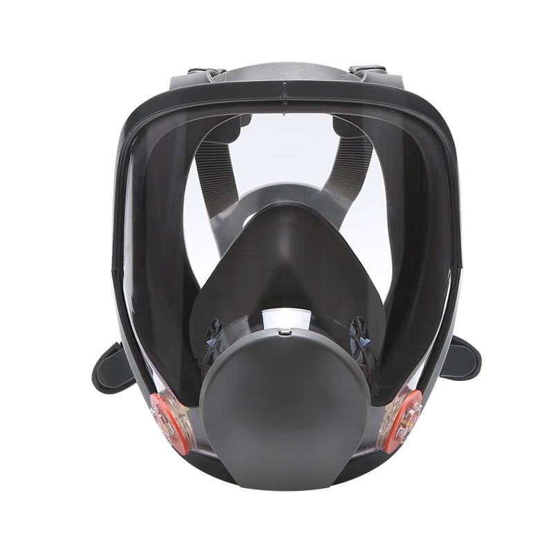 DAXTE Full-Face Anti-Fog & Dust Protective Mask