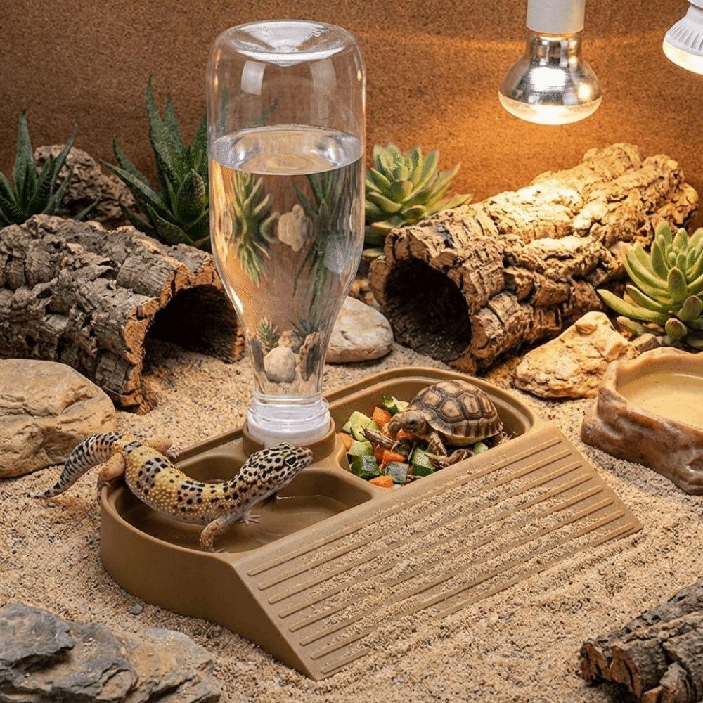 2 in 1 Reptile Feeder Station Automatic Fill Large Capacity Automatic Water Dispenser with Water Bottle Plastic
