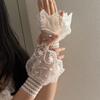 Sheer Embroidered Fingerless Wrist Cuffs Pair for Women, Lace Sleeves with Flared Cuff for Weddings and Photo Styling Use