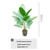 Large Nordic-style Banana Leaf Potted Plant - Indoor Decoration and Landscaping