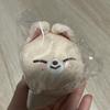 [USED] Stray Kids Foxiny Keychain