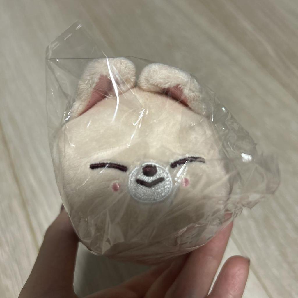 [USED] Stray Kids Foxiny Keychain