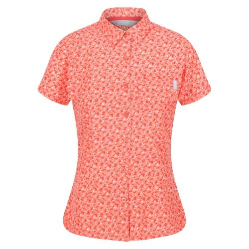 Regatta Womens/Ladies Mindano VI Ditsy Print Shirt