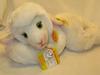 Steiff 25cm Embroidered Tag "Floppy Lamb"