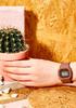 Babygie Watch Brown [Casio] BGD-560ET-5JF Women's