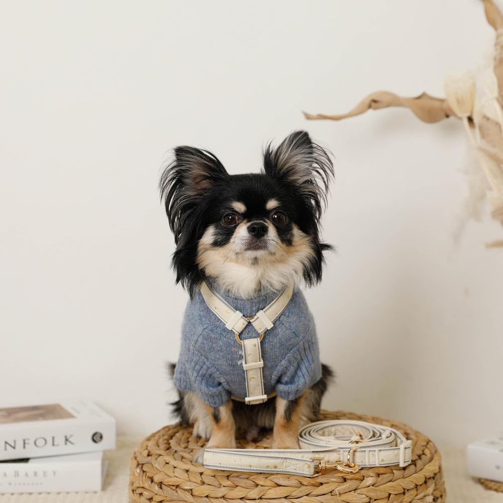 monchéri 2-Way Reflective Star Pattern Dog Leash/IVORY/FREE, Cute, Stylish, Popular Brand, Suitable for Toy Poodles, Chihuahuas, and Small Dogs