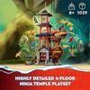 Lego ninjago temple de la puissance du dragon 71795