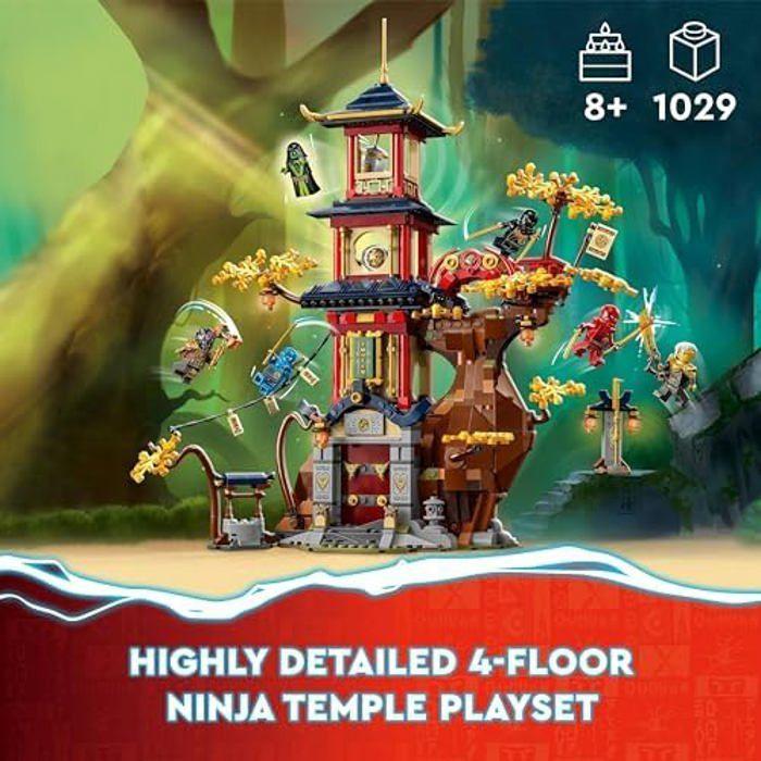 Lego ninjago temple de la puissance du dragon 71795