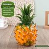 Foam Fruit Model Set: Educational Toy & Display with Plastic Apples, Bananas, Grapes for Kids