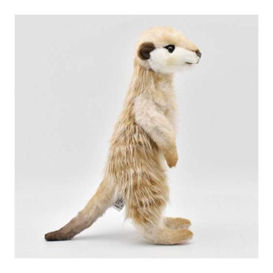 BH5326 HANSA Meerkat 33