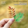 Shí Guāng Leaf Natural Series: Tree-Themed Journal Scenery Stickers (6 Styles)