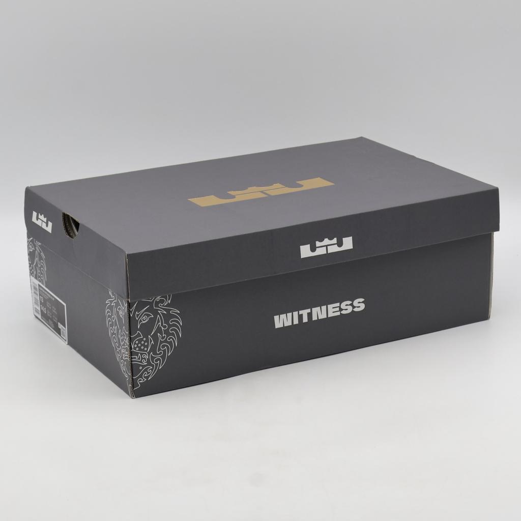 HQ8035-003 Nike LeBron Witness IX EP Black Iron Grey (Men's)