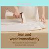 Handheld Portable Garment Steamer With Power For Travel And Home Use