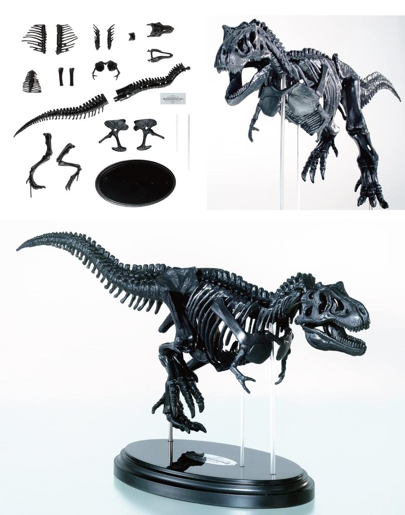 Gakken Tyrannosaurus Scale Skeleton Model Kit Poster 6 and Q750763 1/35 & Life-Size (Ages Up)