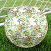 1pc Dinosaur Adventure Scene Theme Soccer Ball Football, Size 5, Lightweight PVC, Outdoor Training Soccer Ball,Gift C6581