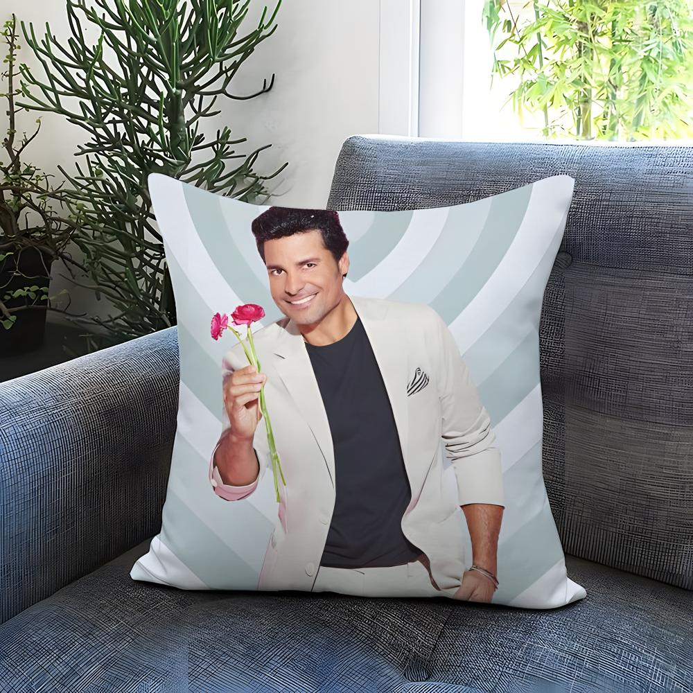 Trendy Cchayanneing Cushion Cover Comfortable Reversible Pillow Cover Ideal for Car Sofa Bedroom  Beyond