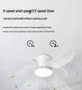 2025 Nordic Ceiling Fan Light: Variable Frequency, Compact Design, Suitable for Bedroom - Meets Japanese & American Standards
