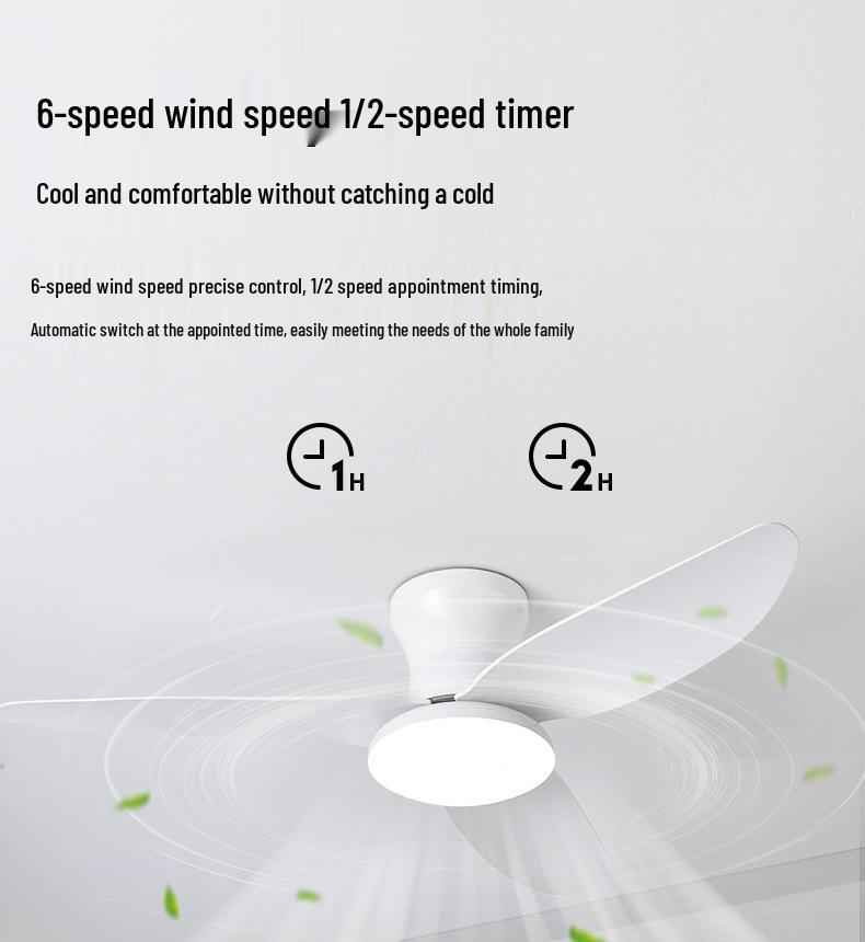 2025 Nordic Ceiling Fan Light: Variable Frequency, Compact Design, Suitable for Bedroom - Meets Japanese & American Standards