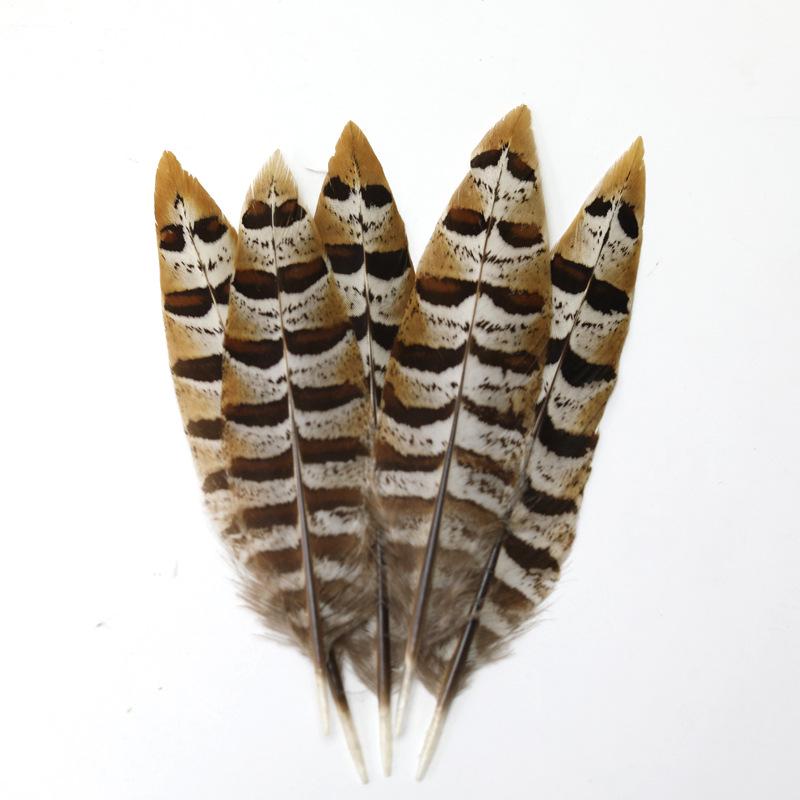 Pheasant Feather Long Plumes for Peking Opera Performance - Sun Wukong Theme