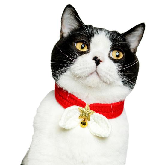 decorative cat collars