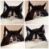 Čelenka do plyšových kočičích uší Dámská Cosplay stuha do vlasů Legrační roztomilá vlasová obruče Lolita